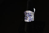 Tanzanite / Rhodolite Garnet / Zircon Ring